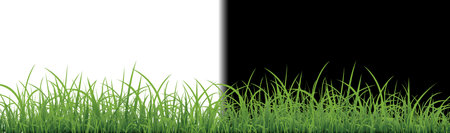 Green Grass Isolated With White And Black Background, Vector Illustrationのイラスト素材