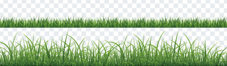 Green Grass Isolated And Transparent Background, Vector Illustrationのイラスト素材
