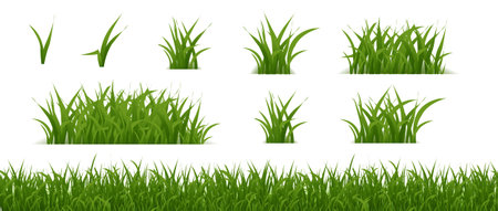 Green Grass Border Collectio Isolated With Gradient Mesh, Vector Illustrationのイラスト素材