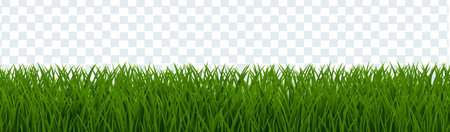 Green Grass Border Isolated Transparent Background, Vector Illustrationのイラスト素材