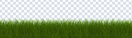 Grass Border White With Transparent Background With Gradient Mesh, Vector Illustrationのイラスト素材