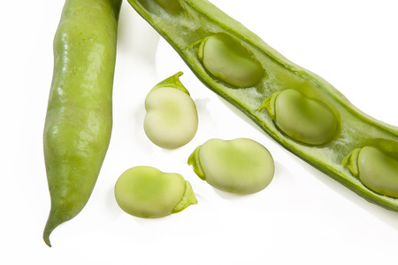 closeup of fresh broad beans and pods with white backgroundの写真素材