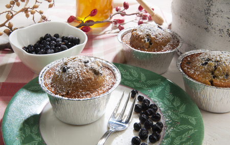 muffins with yogurt with blueberries on a plate decoratedの写真素材