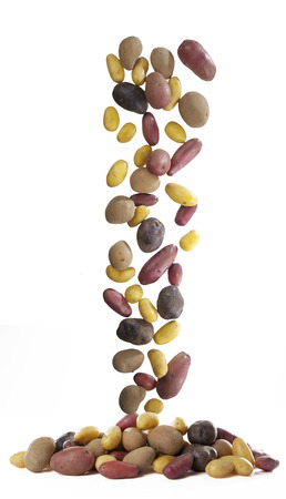 Cascade of potatoes in different varietiesの写真素材