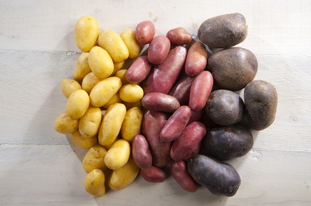 three varieties of potatoes for different usesの写真素材