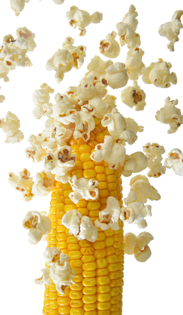 Pop Corn that fly away from the corn cobの写真素材