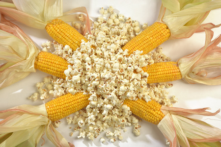 corn cobs with over a pile of popcornの写真素材