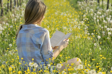 Girl sitting in a flowery field who is reading a bookの写真素材