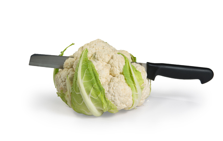 Cabbage cut in half with a knife and white backgroundの写真素材