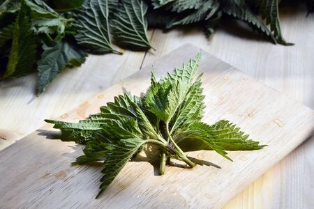 Pile of fresh nettles on top of a wooden cutting boardの写真素材