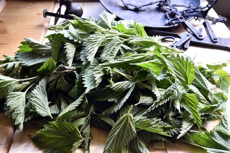Pile of fresh nettles on top of a wooden cutting boardの写真素材