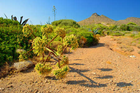 Cape Sounion Athens , Greeceの写真素材