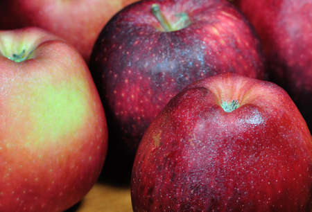Fresh Starking apples with morning dewの写真素材