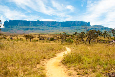 View of Roraima Tepui, Gran Sabana, Venezuelaの写真素材