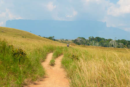 Silhouette of Roraima Tepui Mountain from trekking path, Great Savanna, Canaima National Park, Venezuelaの写真素材