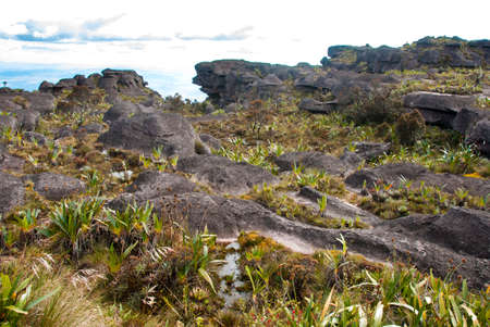 Limestones structures on the summit of Roraima Table Mountain, Great Savanna, Canaima National Park, Venezuelaの写真素材