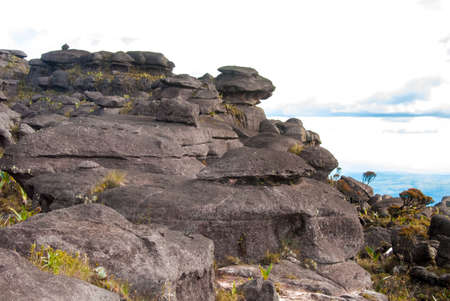 Limestones structures on the summit of Roraima Table Mountain, Great Savanna, Canaima National Park, Venezuelaの写真素材