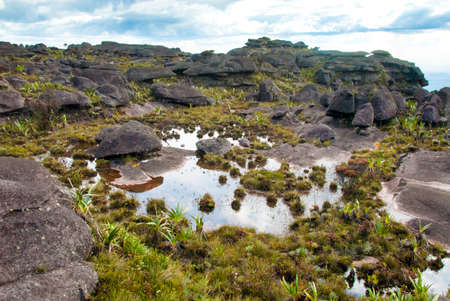 Limestones structures on the summit of Roraima Table Mountain, Great Savanna, Canaima National Park, Venezuelaの写真素材