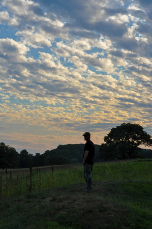 Silhouette of a Man in a Parkの写真素材