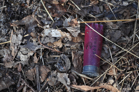 Empty Red Shotgun Bullet Shell on the Ground
