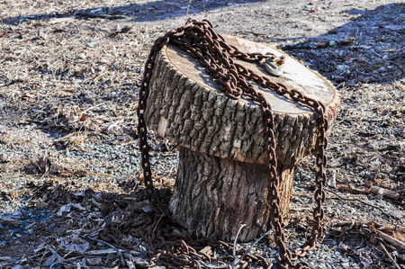 Rusted Heavy Chain on a Tree Stump Chairの写真素材