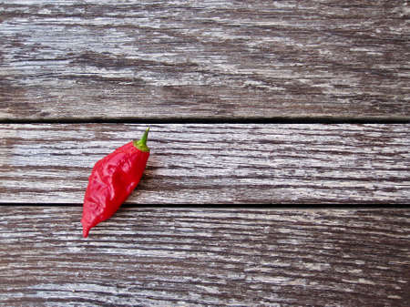 Single chili pepper over an antique tableの写真素材