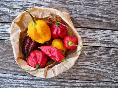 Different red and yellow chillies in paper bag on old tableの写真素材