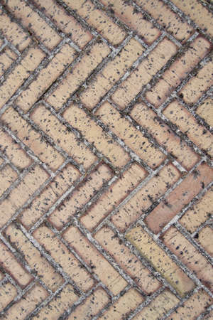 precious middle-aged herringbone - verticalの写真素材