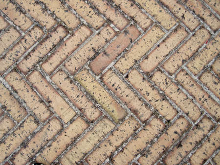 precious middle-aged herringboneの写真素材