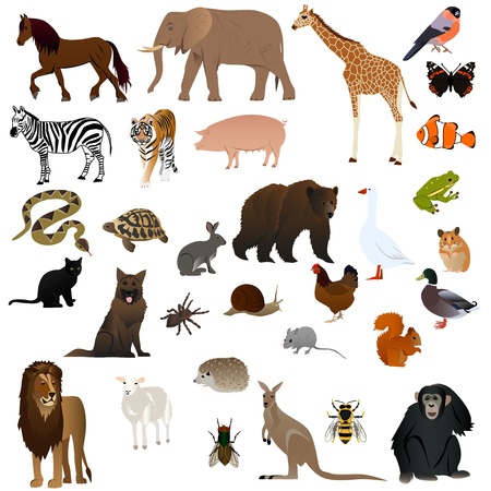 Animals set 1