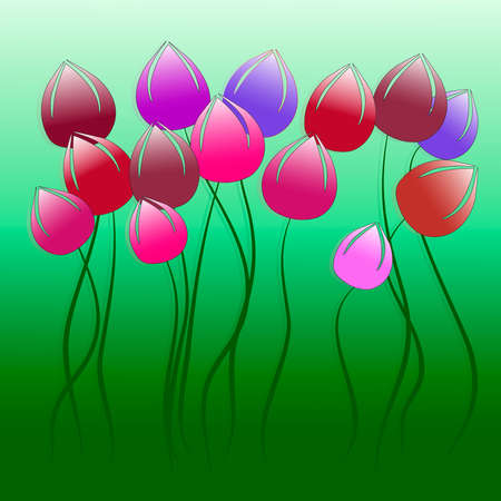 Tulips on a green backgroundのイラスト素材