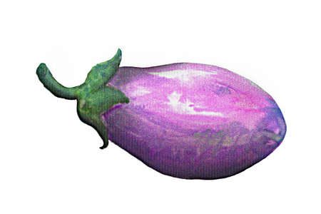 Eggplant on a white background . Watercolor. Handmade.の写真素材