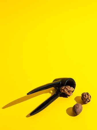 Walnut on yellow background