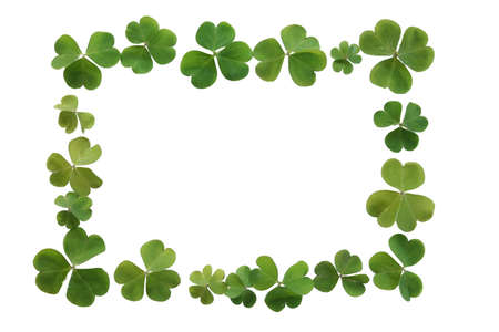 Frame or boarder made of fresh green clover perfect for St. Patricks Day の写真素材