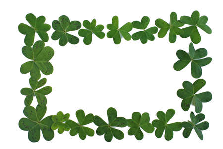 Frame or boarder made of fresh green clover perfect for St. Patricks Day の写真素材