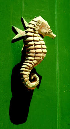 Classic Brass Door Knocker SeeHorseの写真素材