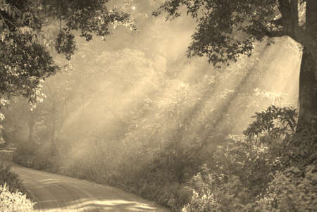 Mystical path