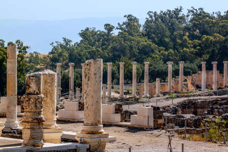 Columns at Bet She'an National Park, Israel