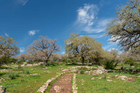 Nature reserve near Kiryat Tivon, Israelの写真素材