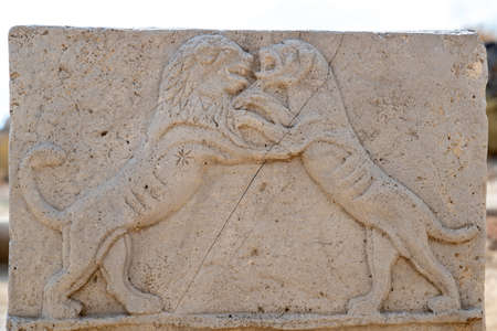 Relief of a dog and lion fighting from Canaanite era at Beit She'an National Park in Israelの写真素材