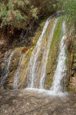 Waterfall in Ein Gedi Nation Park close to the Dead Sea in Israelの写真素材