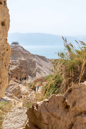 People hiking in beautiful scenic Ein Gedi National Park in southern Israel near the Dead Seaのeditorial素材
