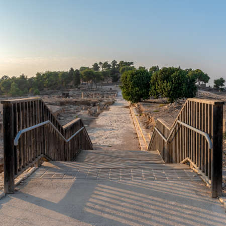 Entry to archaeological areas and overview of Tzipori National Park in Israelの写真素材