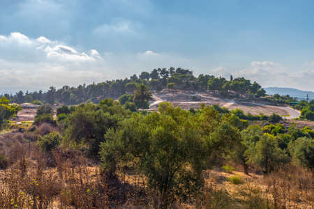 Overview of Tzipori National Park from near the entrance pavilion in Israelの写真素材