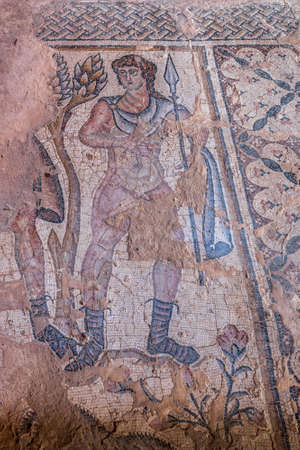 The mosaic floor of the Nile House at Tzipori National Park in Israel.の写真素材