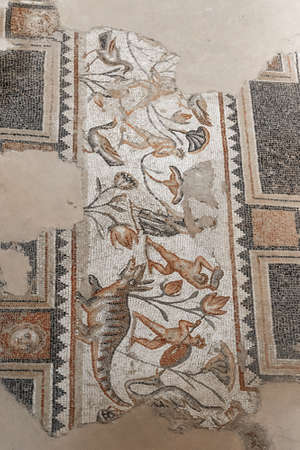 The Dionysus House mosaic floor at Tzipori National Park in Israel.の写真素材