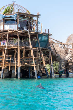 Dolphin Reef beach, scuba diving and dolphins in Eilat Israelの写真素材