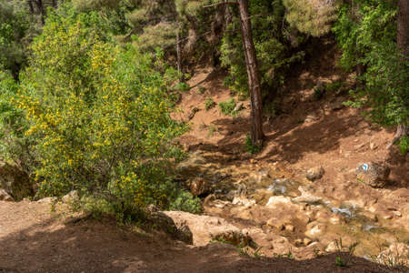 Parod or Farod Falls in northern Israel is a beautiful place to hike in the Winter and Spring.の写真素材