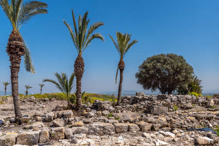 Tel Megiddo National Park is an archaeological site. Also known as Armageddon the place where the...