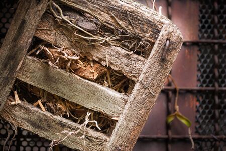 old wooden pot  for orchid plants in Thailandの写真素材